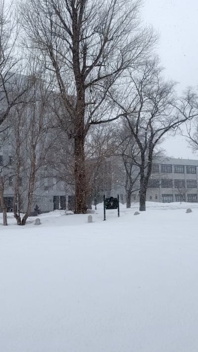 눈이 쌓여 있는 캠퍼스