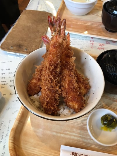 영롱한 새우의 자태