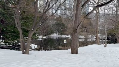 훗카이도청 앞 연못