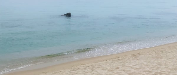 평창·강릉 여행 2: 강릉 어디까지 알아봤니