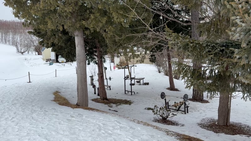 마일드세븐 나무 옆에 있는 산스장