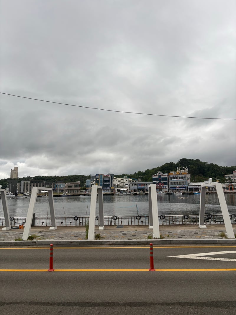 속초 대포항