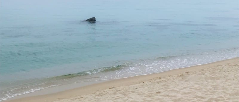 강릉 해변