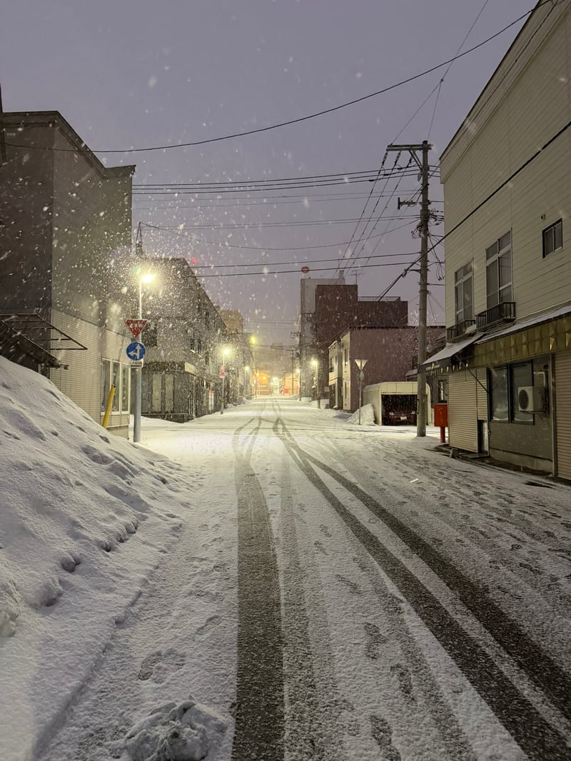 눈이 내리는, 역으로 돌아가는 길